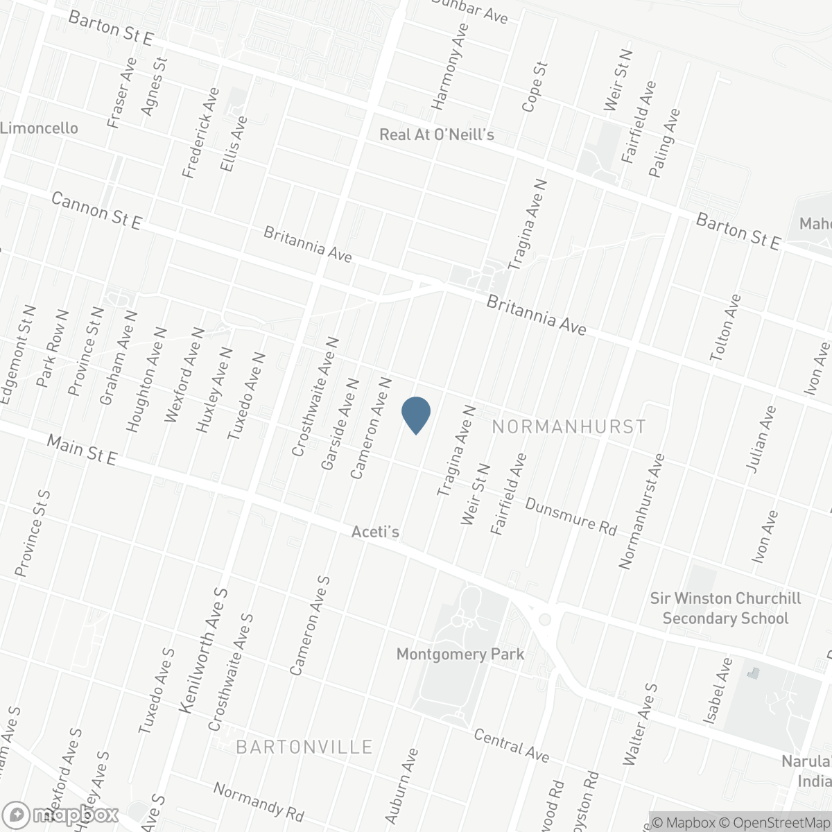 84 BARONS AVENUE N, Hamilton, Ontario L8H 5A4